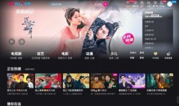 优酷爆料恋情视频,明星甜蜜恋情视频引发网友热议